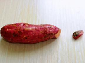 再把地瓜两头的尖部切掉。