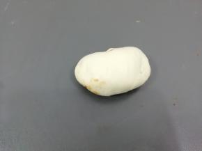 从上边往下卷起，然后两头往中间叠