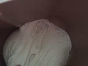 发酵好的面团有蜂窝状