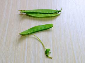 荷兰豆去根去尖，依次做完。