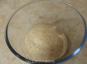 面团团圆之后放入大碗中，盖上保鲜膜，放到东菱烤箱中，30℃发酵。
