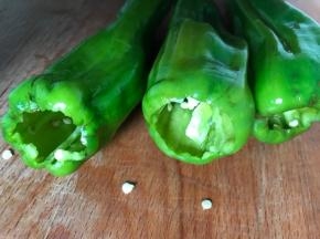 把青椒去蒂去籽