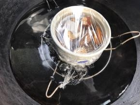 密封，放入锅中蒸1小时