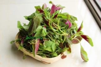 食材：野生苋菜，大蒜、油、盐。其中野生苋菜要不同人工种植的咸菜，野生苋菜细长，根部会比较老，吃的时候只选择苋菜的叶芯。
