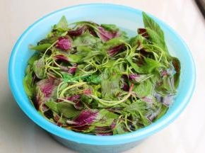 新鲜采摘回来的野生红苋菜，挑选脆嫩的，清洗干净，捞出，沥干水。