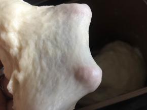 第一个程序结束后，检查面团状态，这样粗膜状态就可以加入椰子油了