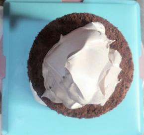 把可可奶油放在蛋糕胚上