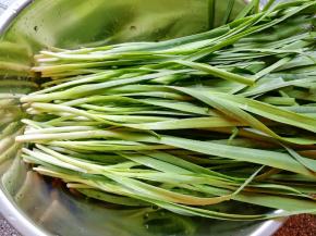 韭菜摘好洗干净控一下水分。