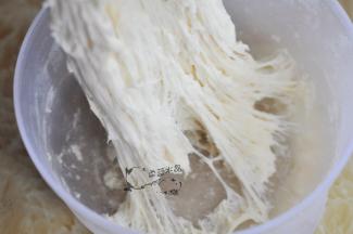 先制作中种。将配料里的金龙鱼面包用小麦粉、干酵母、水混合，室温发酵一小左右，拉开后底部呈现蜂窝状。