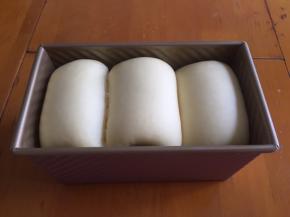 发酵至8分满，盖上盖子，放入预热好的烤箱上下火，170度40分钟，如果不盖盖子就刷一层蛋液