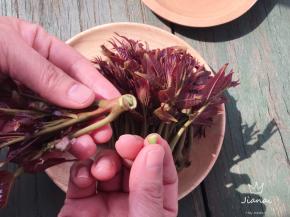 去掉根蒂的蒂头与小枝叉。