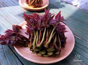 鲜嫩的香椿。