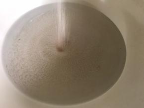 把酵母放入温水中搅拌均匀