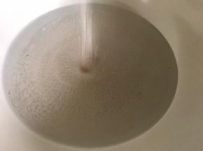 温水中加入酵母，拌匀至融化