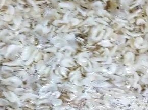 浸泡20分钟，冲洗3遍!