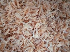 烘干，可以选择烤箱，或者烘干机都可以，注意烤箱烘干，只要确保虾皮不上色就可以，烘干到手一捻就碎了，无任何水分!