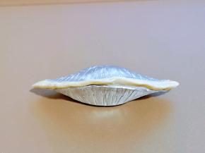 再把蛋挞皮对折，捏紧。