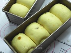 把模具放入烤箱中进行发酵，35℃，一直发酵到8分满，轻轻按压面团会回弹。大约需要1个小时。