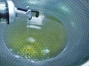 锅里加适量的油。