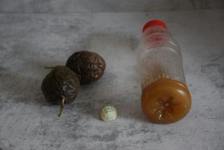 准备好所需食材