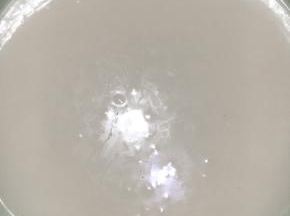 过筛进面粉，杏仁粉边筛边搅拌匀。