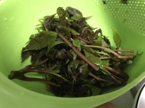 香椿用清水洗净