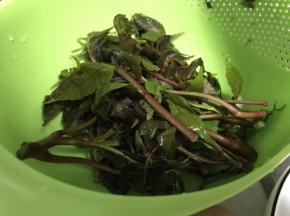 香椿用清水洗净
