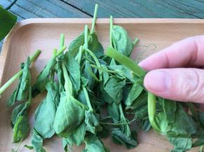 豌豆尖去掉根部老的一段，留下嫩的带叶尾部，冲洗干净，淡盐水浸泡十分钟，再冲洗一遍。