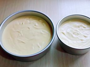 拌好的蛋糕糊，细腻光滑，饱满，倒入蛋糕模具中。