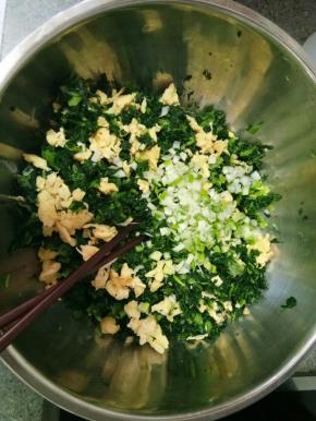 小白菜焯熟后挤出水份切碎，炒两个鸡蛋放入，葱切碎放入