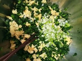 小白菜焯熟后挤出水份切碎，炒两个鸡蛋放入，葱切碎放入