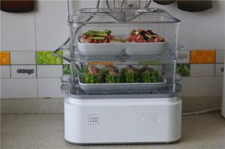 电蒸锅里加水，上蒸格，将食材摆放在里面，隔水蒸制。