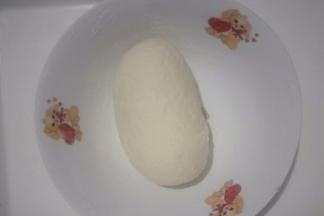 揉成光滑面团盖保鲜膜醒发1.5~2小时左右