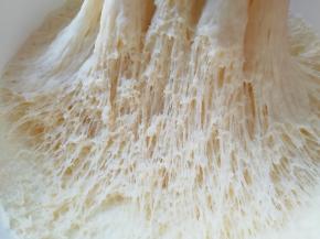 一个小时左右，面团发酵的特别好。