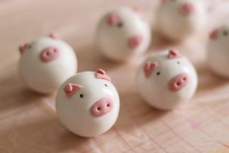 13、安放好耳朵，和鼻子，并用牙签炸出鼻孔，眼睛，用黑色的小圆面团做眼睛。