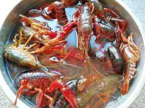 小龙虾买回来先用水养上一个小时左右，吐一吐脏东西。