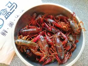 刷洗过的小龙虾再清洗一遍。