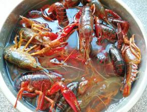 小龙虾买回来先用水养上一个小时左右，吐一吐脏东西。