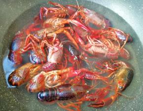 水不用烧开，随着水温慢慢升高，小龙虾变色以后即可关火。