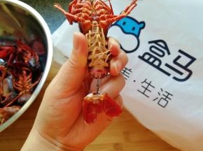 断生的小龙虾捞出晾一下，捏着小龙虾的尾巴最后一节，左右拧一下抽出虾线，如图。
