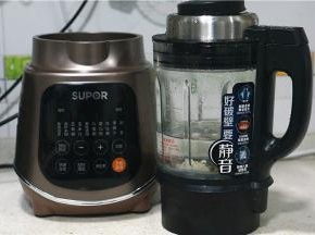 然后就将食材入破壁机里，并加入1000左右的清水。