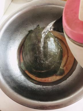 用开水把甲鱼烫一下。