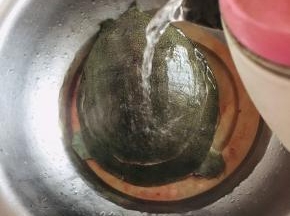 用开水把甲鱼烫一下。