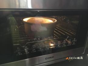 模具震二下，放入烤箱中下层，150度45分钟左右（上色后盖锡纸，要快！）。