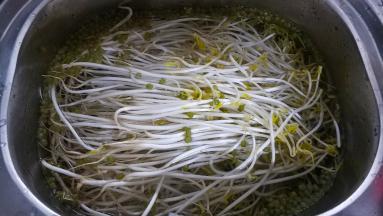绿豆芽洗干净