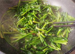 首先把菠菜洗净切断，烧一锅开水，把菠菜放入焯水，去掉部分草酸。