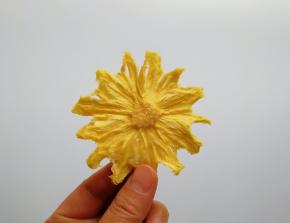 菠萝干好漂亮啊！直接吃了。