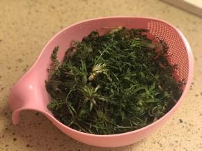 野菜多清洗几次，彻底清洗掉荠菜里的泥沙和尘土。