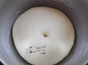 发酵40分钟，手指按下不回缩。