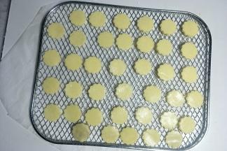 摆在干果机网架上